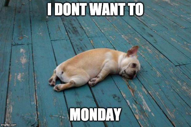SoleFlops's tweet photo. If Monday were a #mood 🤷

#monday #mondaymotivation #mondaymood #mondayvibes https://t.co/JJYybjbeyl