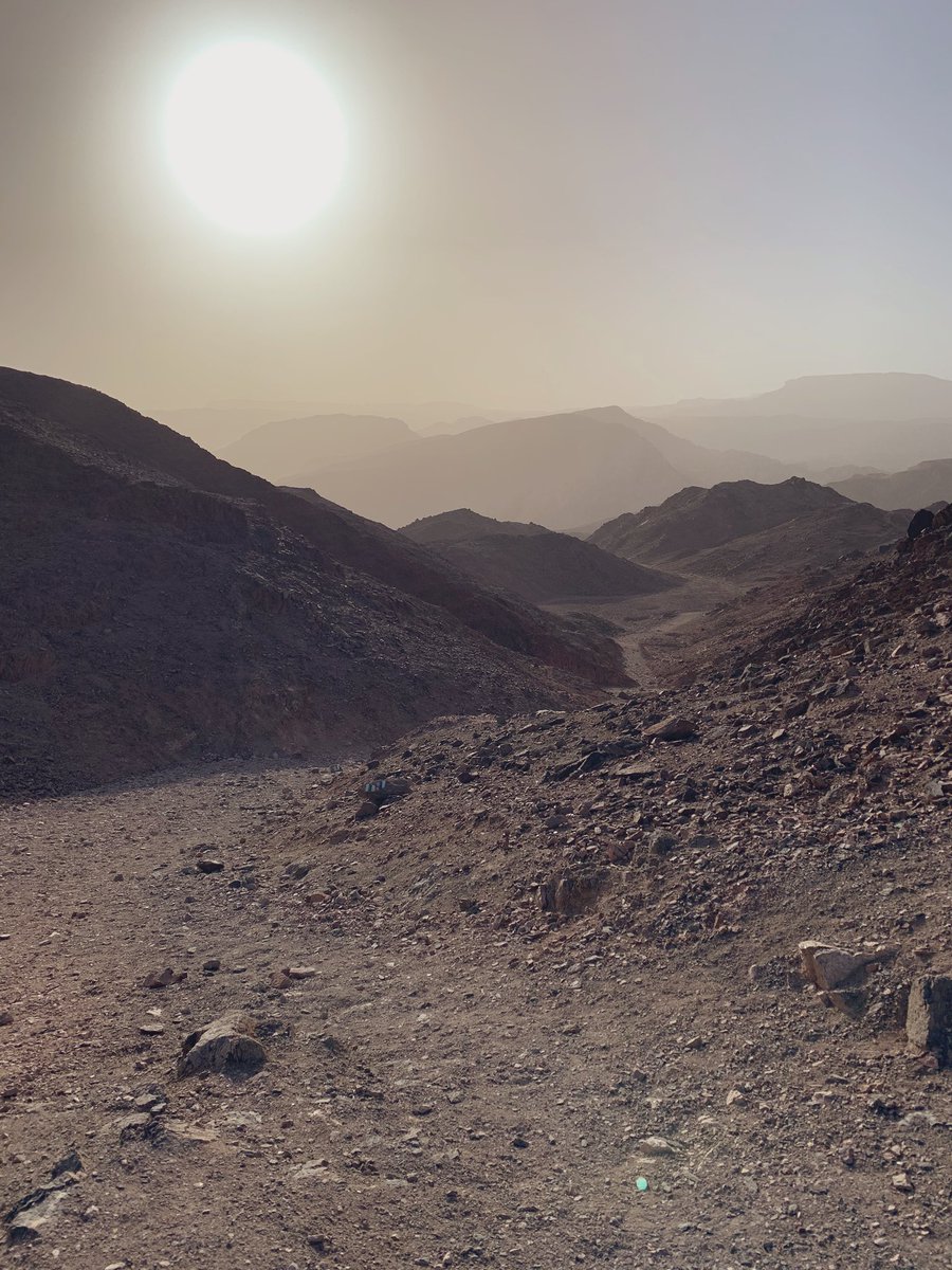 Einmal durch die Wüste mit dem Rad - Tschüss Negev. Tschüss Israel.