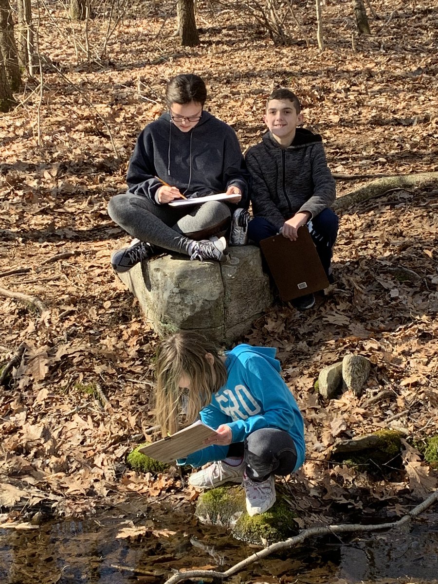 7-1 DMS Wolves tweet media