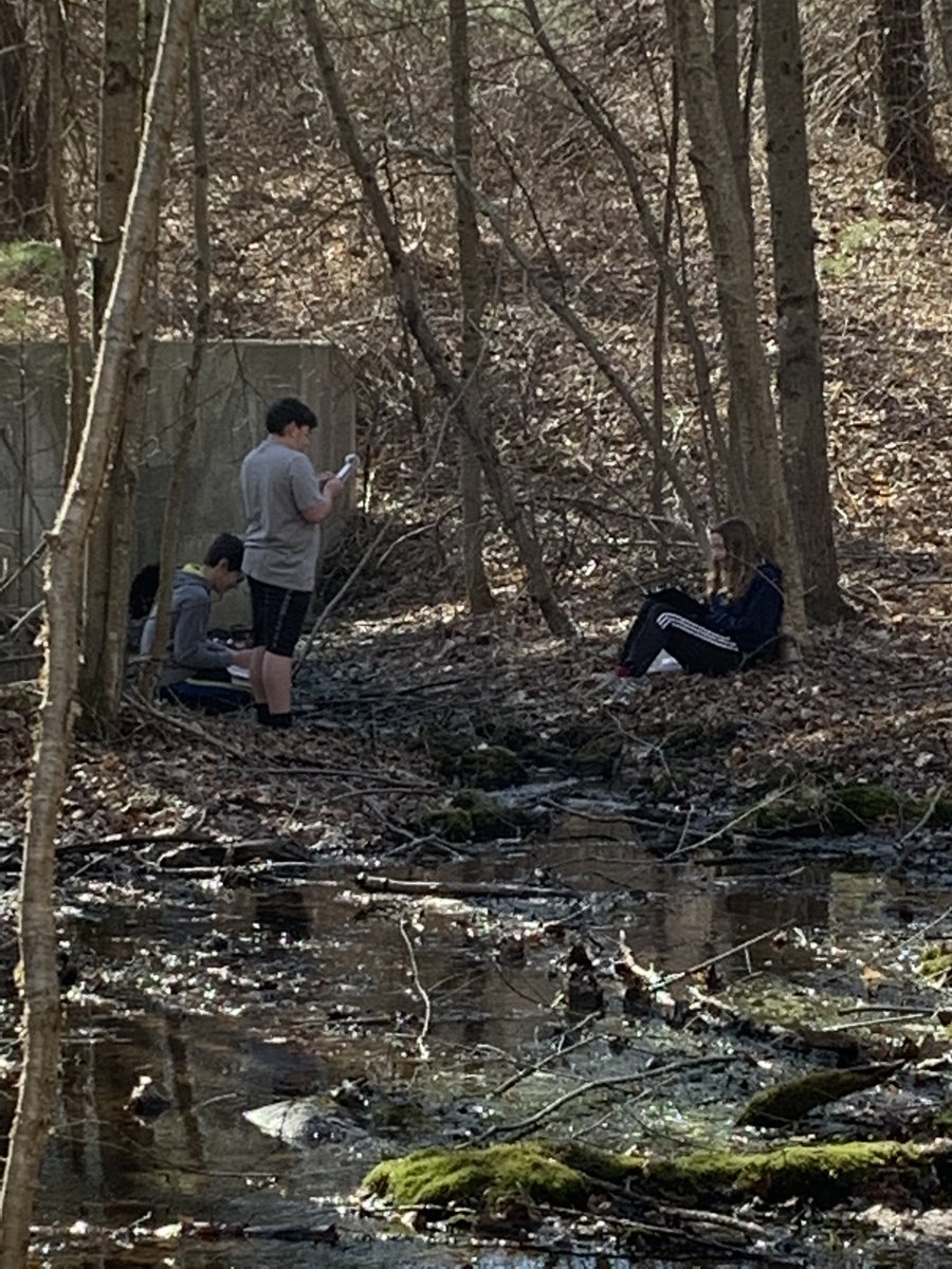 7-1 DMS Wolves tweet media