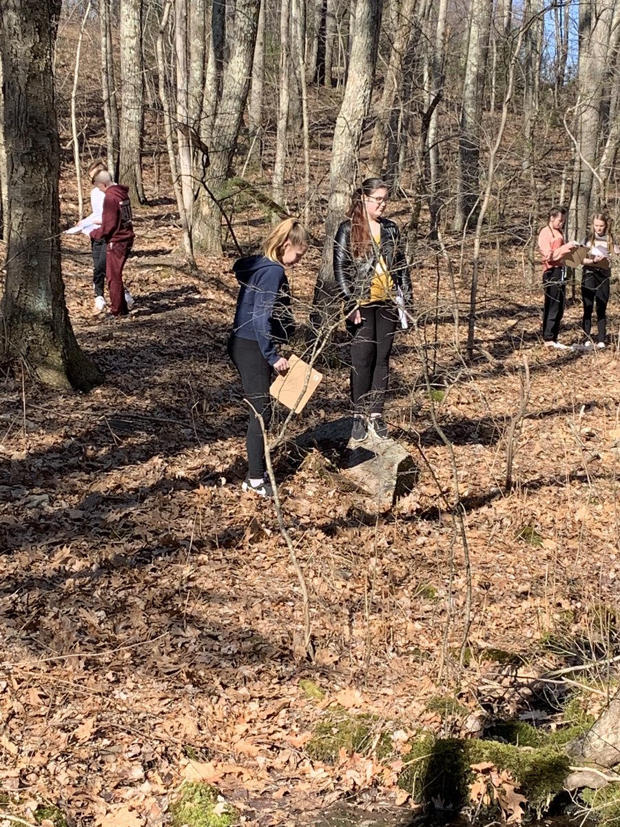 7-1 DMS Wolves tweet media