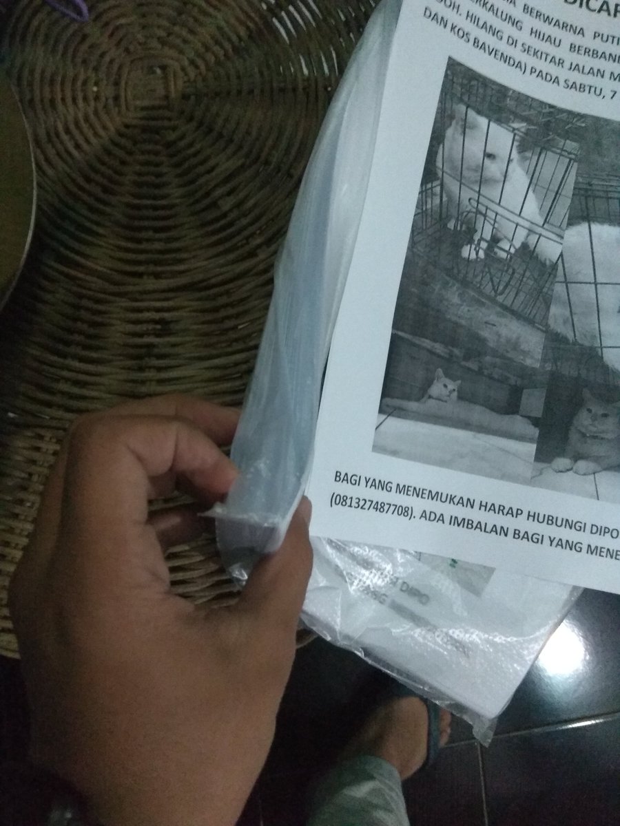 Wkwkwk 3 hari panik melanda diriku. Nganti cara2 yang aneh tak lakuin. Ngomong ke kucing lewat "eh kalo ketemu kucing bule putih namanya Leo, suruh pulang" sampe nyetak brosur buat nempel2 di burjo dan tempat makan sekitar :(