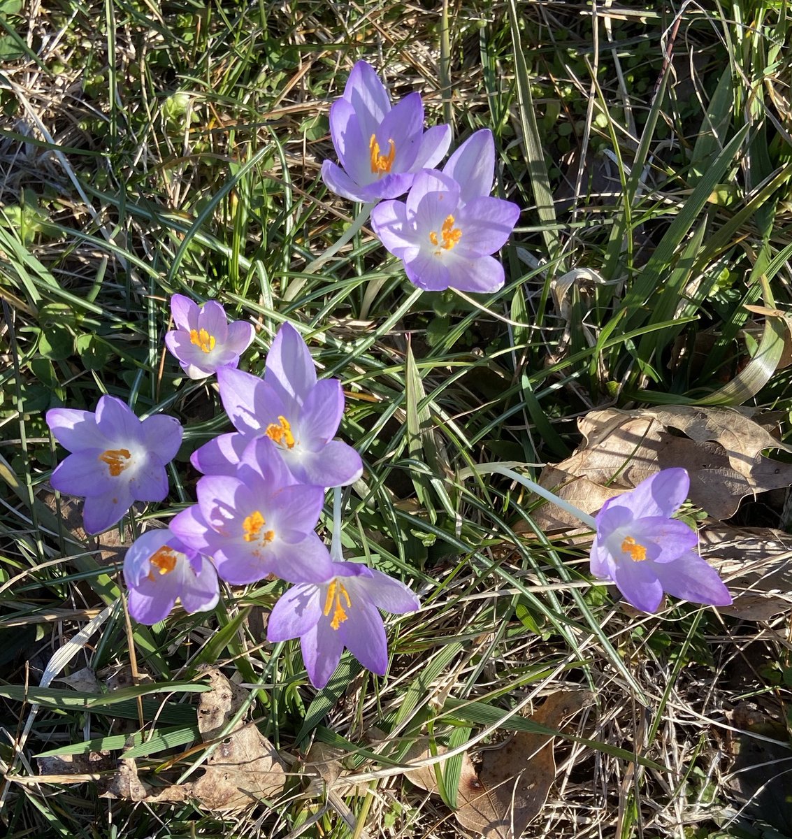 tlb0517's tweet photo. Spring https://t.co/vjpEtdOwPP