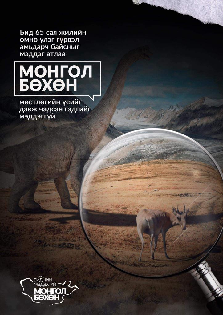 ЗөВ МоНГоЛ on Twitter: "#Бид 65 сая жилийн өмнө үлэг гүрвэл амьдарч ...