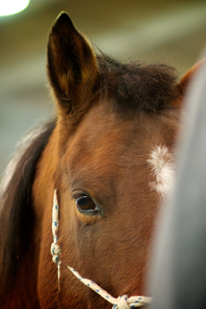 NaturalLeader's tweet image. to all the amazing women I have met and to the ones who have taught me oh so much. #Thankyou #InternationalWomensDay2020