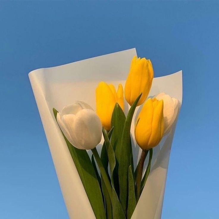 𝗣𝗹𝗲𝗮𝘀𝗲 ♡ III tweet media