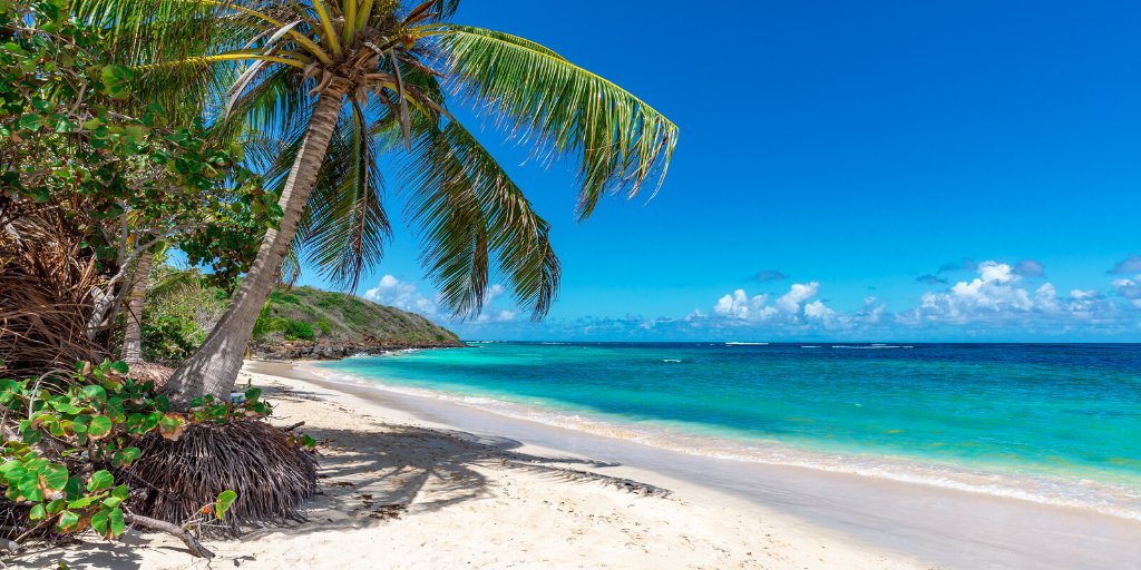 The unspoilt beaches of Gorgeous Guadeloupe 🌴 ☀️ bit.ly/38WxCqH

#MondayMotivation