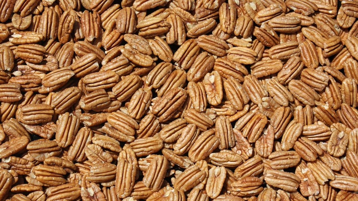 MackEnergyCorp's tweet photo. Take a look at this agricultural breakthrough that our great state has achieved! 2019 proved to be a record year for pecan production, securing New Mexico’s rank as the top producing state in the US! https://t.co/g1L0xZjGGF #newmexico #pecans #recordyear https://t.co/NBfAcEAOYa