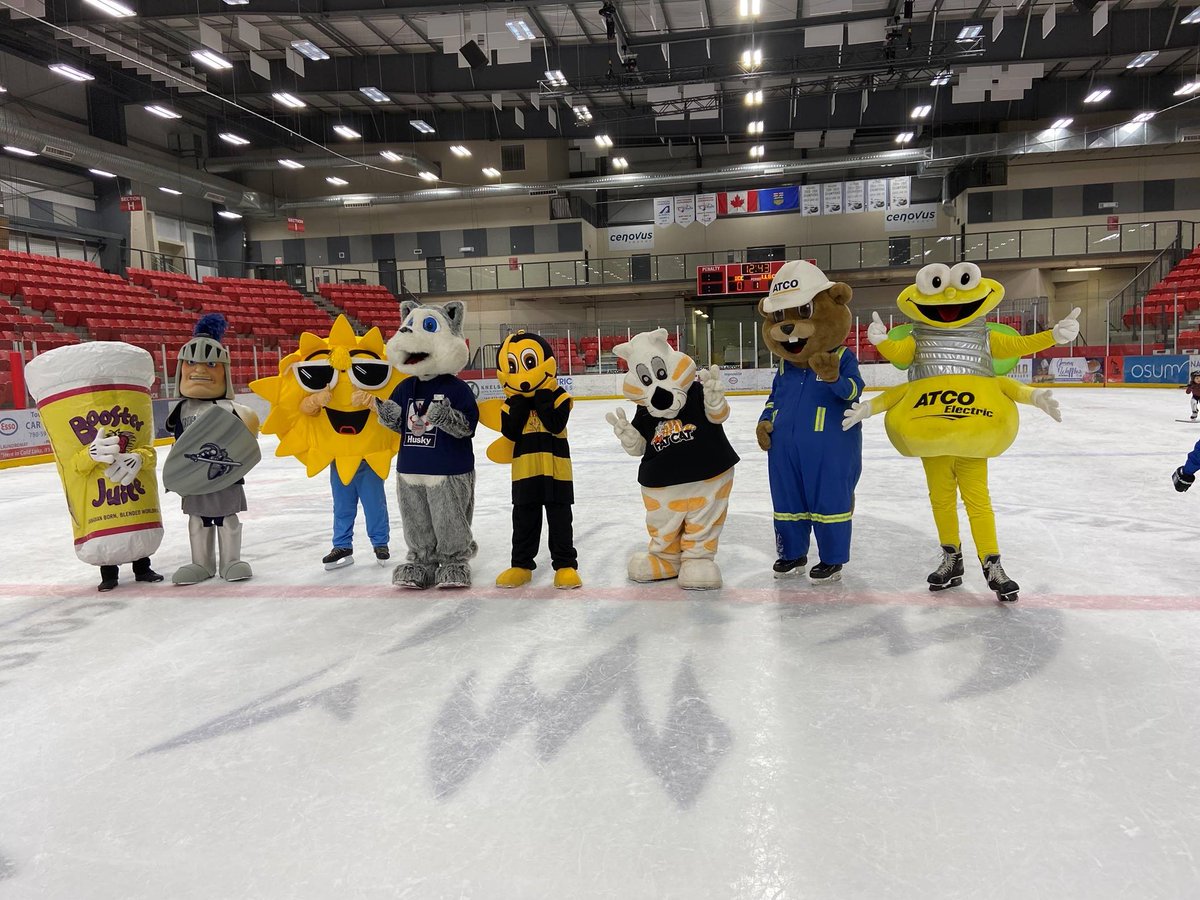 RateFat's tweet photo. This is Fat Cat and all her mascot friends hanging out on her birthday. There is Boosty, Sir Shield, Shades, Fonzi, Bashful Bee, Fat Cat, Safety Bear, and Electric Bugaloo.  She wants to say thanks to everyone for coming and everyone can have two pieces of cake. Thank you.  13/10 https://t.co/S5QiZVMi86