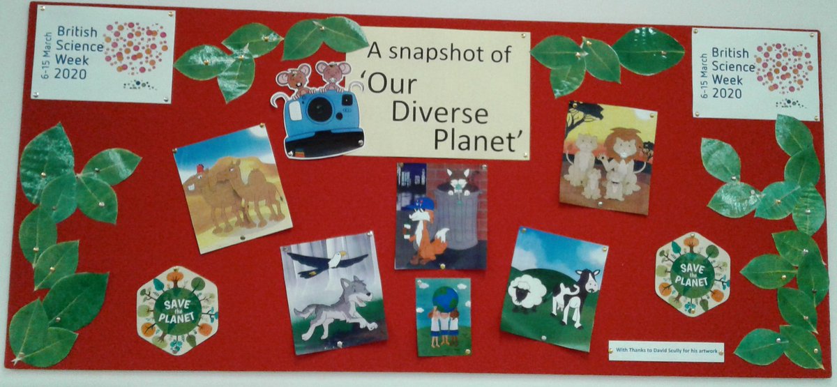 WokingLibrary's tweet photo. On #BritishScienceWeek, have a look at the 'Our Diverse Planet' display at #WokingLibrary. You might just fall in love with #STEM subjects after this! πβοΈβ£οΈ https://t.co/Dqjp9JzeW6