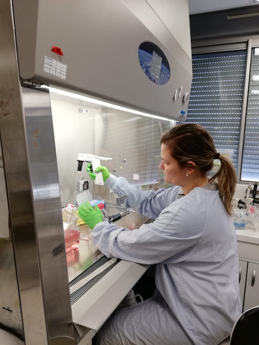 OroborosI's tweet photo. Our #TRANSMITers PhD student Ana Bastos is on secondment at @univbordeaux to continue her project in #cancer and #metabolism
We wish her all the best!
#H2020 #EUeic #MSCA #MarieCurious #InvestEUresearch #euresearch #mitochondria @EtnTransmit @EU_H2020
https://t.co/ubZyXEqiFL https://t.co/7Hnj4epzt8