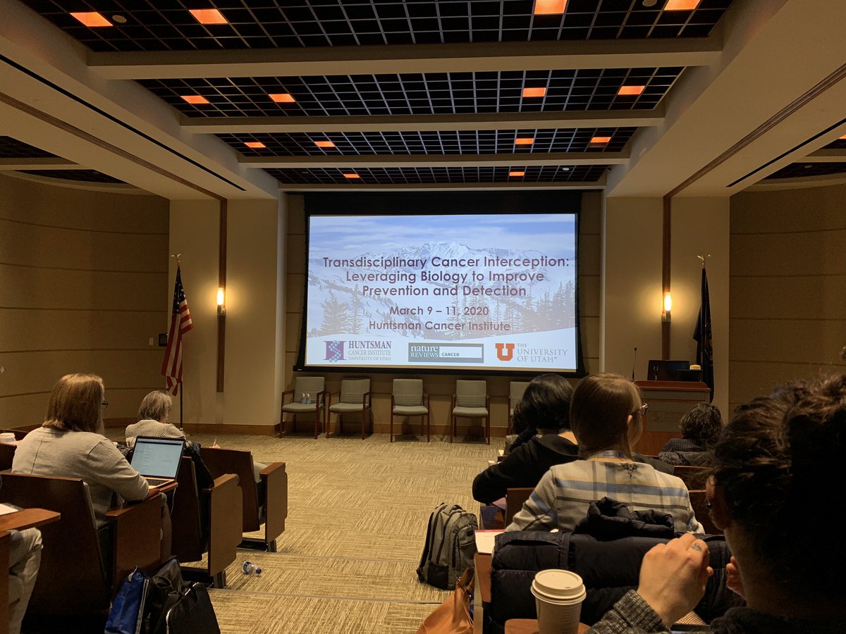 CP Chang (Esther) tweet media