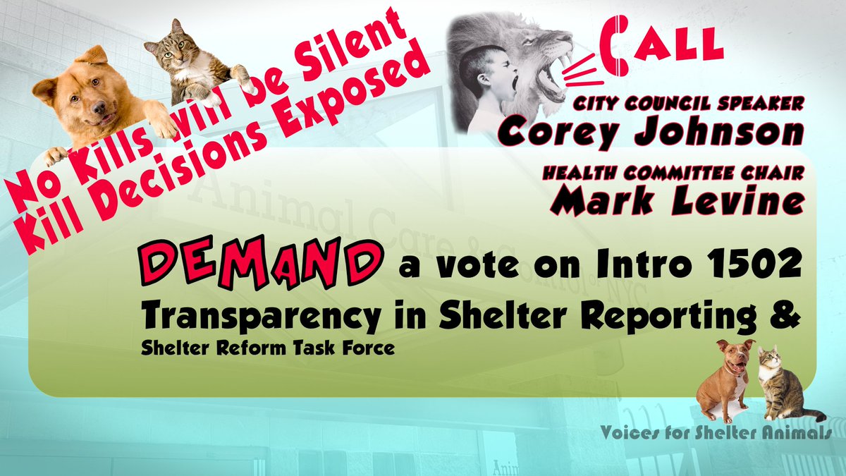 Speaker Johnson &amp; Health Committee Chair Levine allow 1502 to be heard

Require NYCACC report kill decisions Create task force

Corey Johnson
NYC Council Speaker 
212-788-7210
SpeakerJohnson@council.nyc.gov

Mark Levine
Health Comm Chair 
212-788-7007
District7@council.nyc.gov