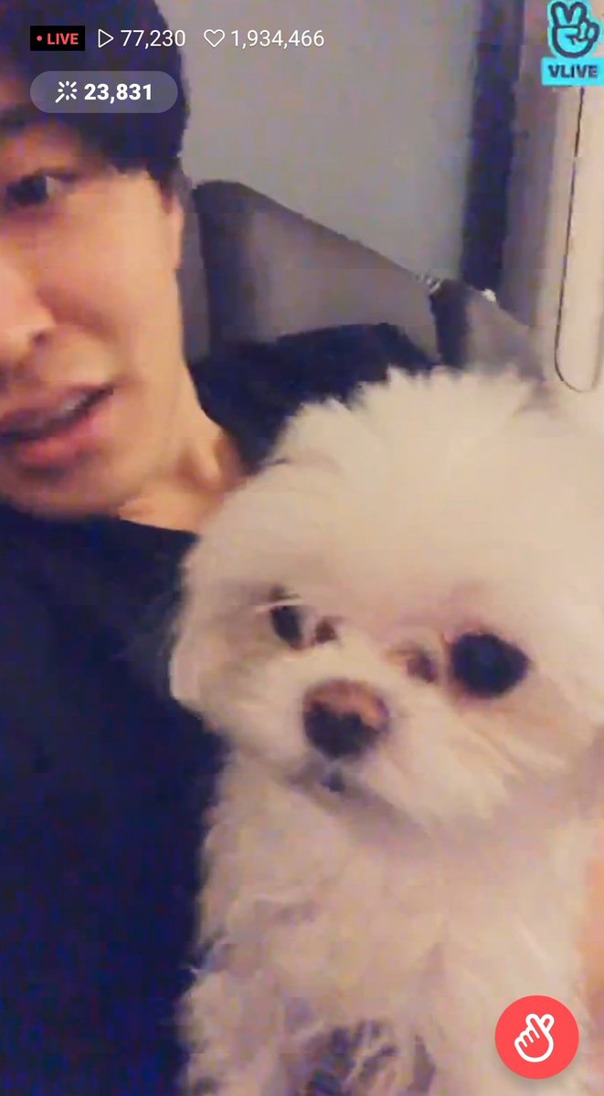 _butr_93's tweet photo. วันเกิดหลานหรอแง๊โตละน้าาาานุ้งโค่อย่าดื้อกะป๊านะเด็กดี
#QueenCocoDay https://t.co/SzwnwcSXDU