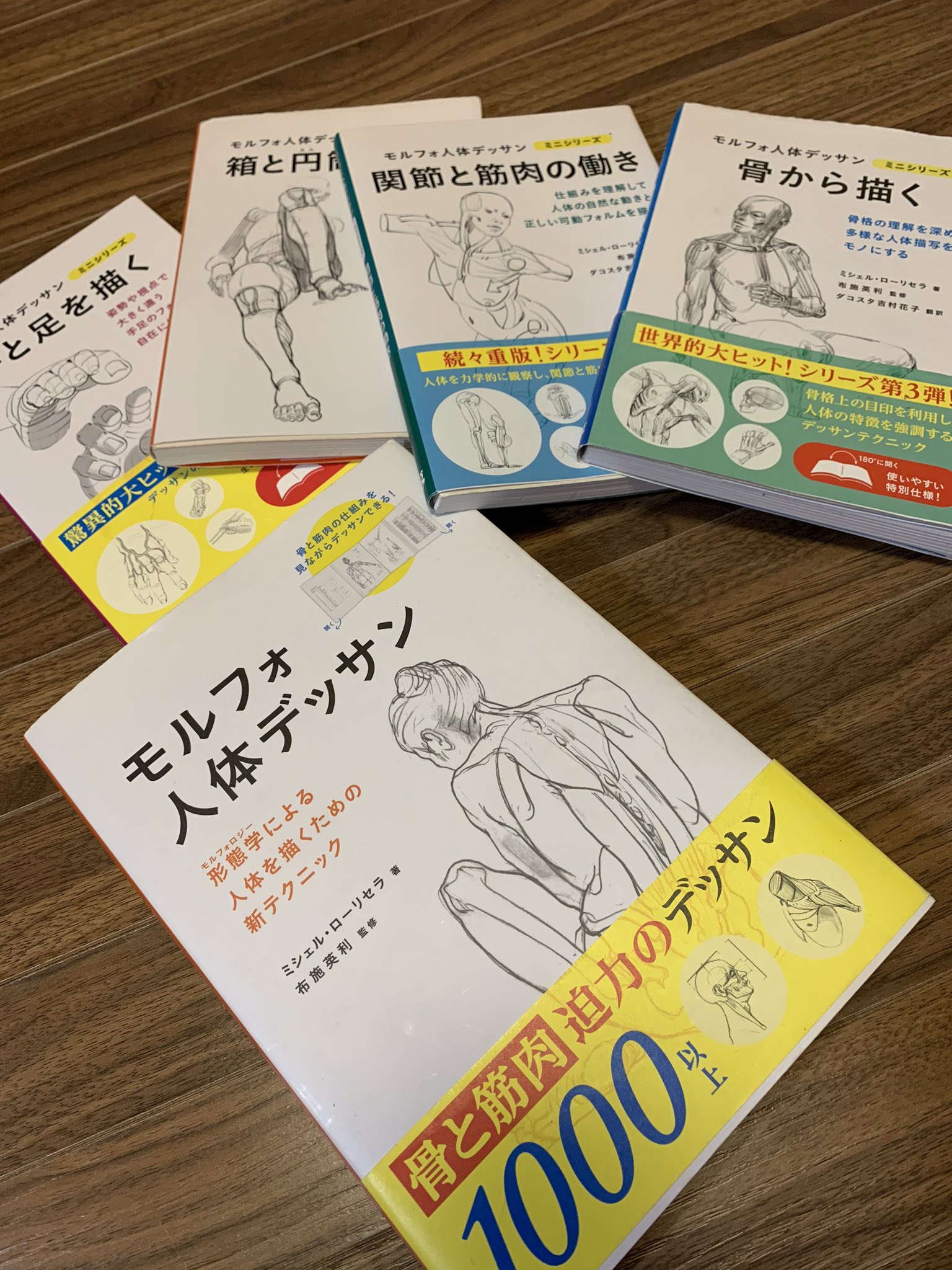 𝔸 ℝ𝕖𝕟𝕒 人 は何処に関節があって 何処が動くのか それがわからないと絵は描けません まずはネットにあるドローイングサイトでひたすら人体クロッキーをして それと並行してモルフォ人体 デッサンという本を買ってひたすら模写とかしました この２