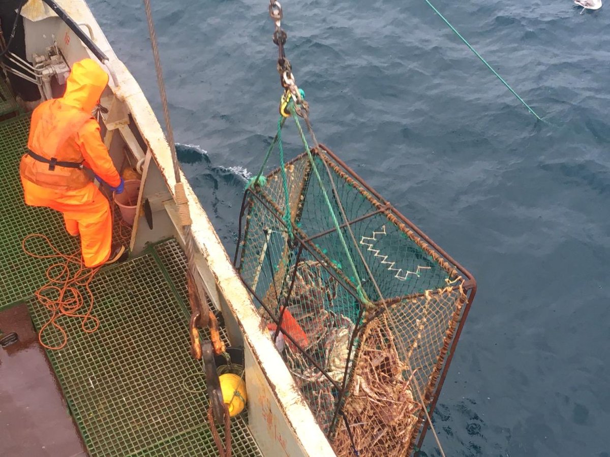 fancycrabuk's tweet image. We are proud of our product. Red King Crab meat is low in fat, high in nutrients and full of vitamins🦀
⠀
Absolutely wild and can not be farmed. That’s why our brave crew sails deep into the freezing Arctic Ocean.
All in the name of bringing home a delicious feast.
#fancycrab