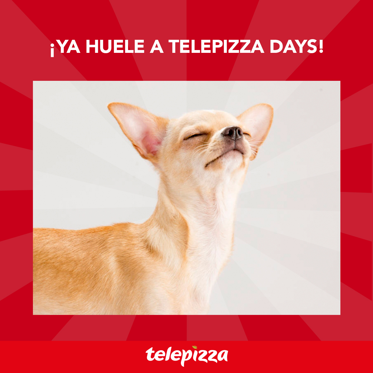 ¡QUÉ‍ EMOCIÓOOOONN...!‍ Llegaron los Telepizza Days más irresistibles del mes. 😍🍕🍕🍕 Lleva hoy tu pizza familiar a $4.990 y escoge 1 ingrediente entre más de 20 disponibles. 

👉🏻Acércate ya a nuestros locales para disfrutarla👈🏻