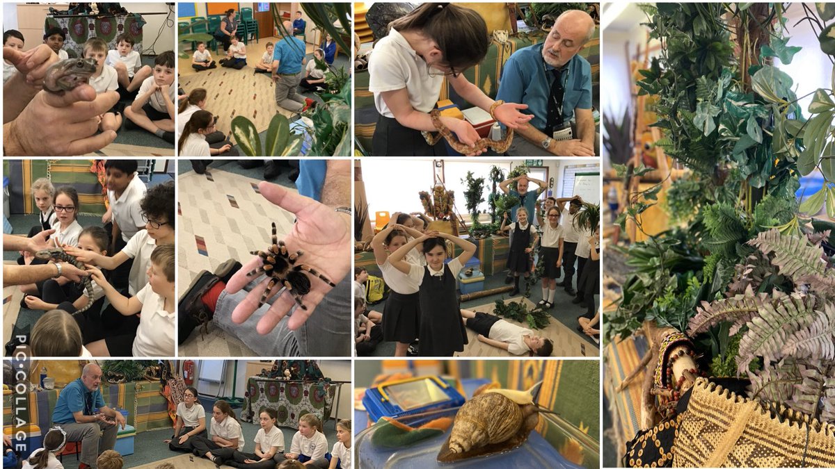St_Peters_Sch's tweet photo. If you can’t visit the Amazon... bring the Amazon to Ardingly! Thank you Andrew Smith for a insightful day. #lovetarantulas https://t.co/uHGbgQPYKQ