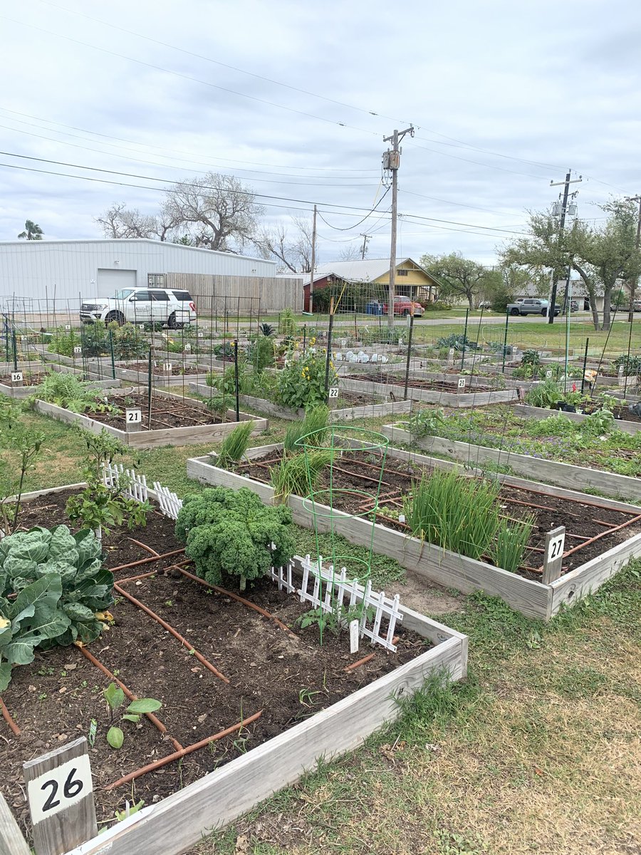 D11 Agrilife Ext tweet media