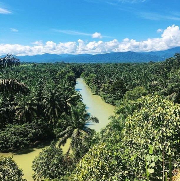 Noord-Sumatra 🌴🌿⠀⠀⠀⠀⠀⠀⠀⠀⠀
📸<a href="/jelllllmer/">Jelmer</a>⠀⠀⠀⠀⠀⠀⠀⠀⠀
.⠀⠀⠀⠀⠀⠀⠀⠀⠀
. ⠀⠀⠀⠀⠀⠀⠀⠀⠀
#lonelyplanet #lonelyplanetnl #travel #reizen #reismagazine #inspiratie #global #fotografie #reisfotografie #ontdekken #sumatra ift.tt/33aIrUg