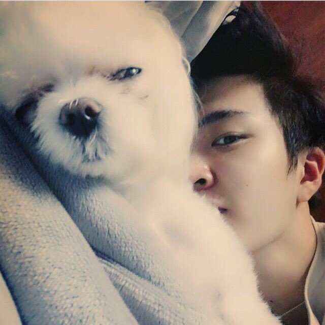 wei_got7's tweet photo. ココオンニお誕生日おめでとう💗 #QueenCocoDay https://t.co/kPMGo08cHX