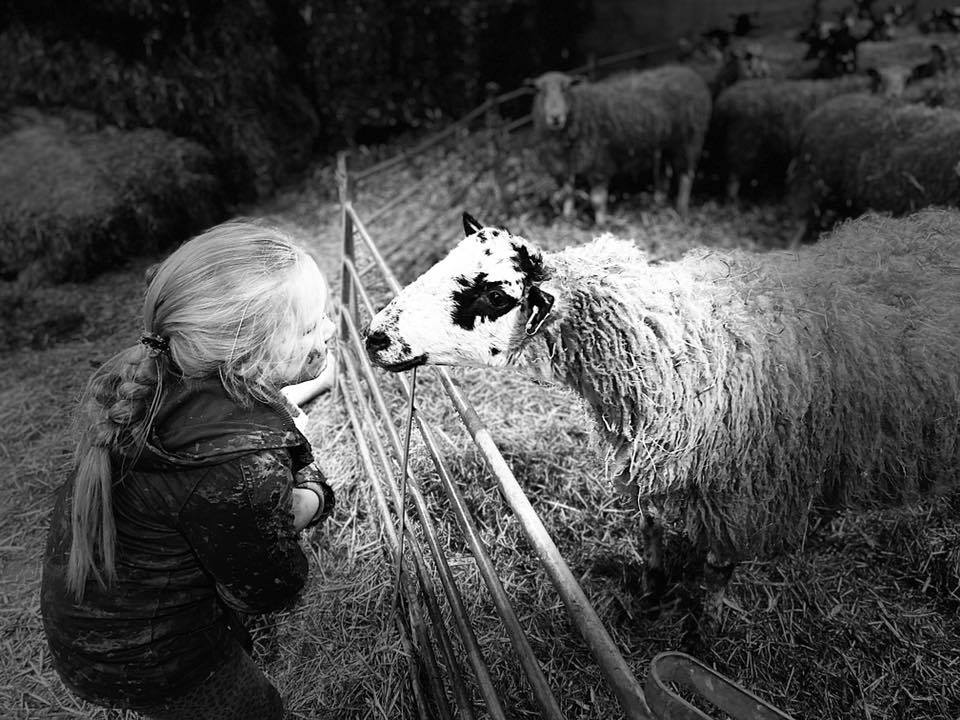 Born to be a shepherdess 😍 #FreeRangekids #FreeRangeLamb #LifeOnTheFarm #BeechRidgeFarm #FreeRange #Farming #Devon #Somerset #countrylife #southwest #Somerset  #BeechRidge #BeechRidgeFarmSomerset #ethicalFood #SustainableFarming #FamilyBusiness #FamilyFarm