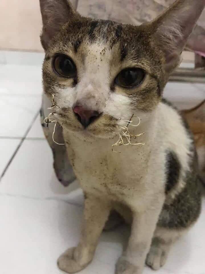 อุ่นจัง