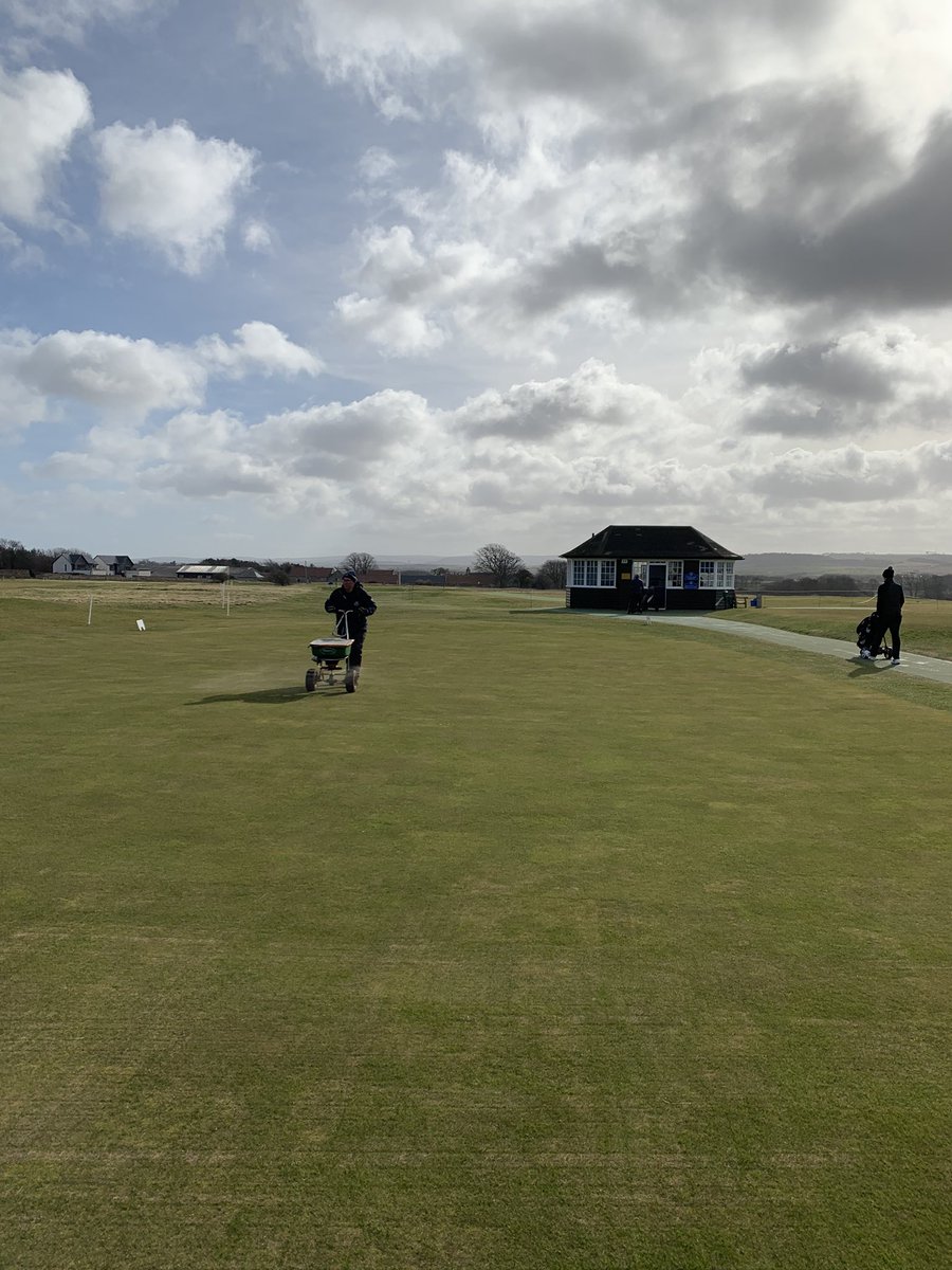 purelinksgolf's tweet photo. First feed going onto @GullaneGolfClub new putting green. It should get washed in properly with the forecast rain. https://t.co/LcUn07Cm4V