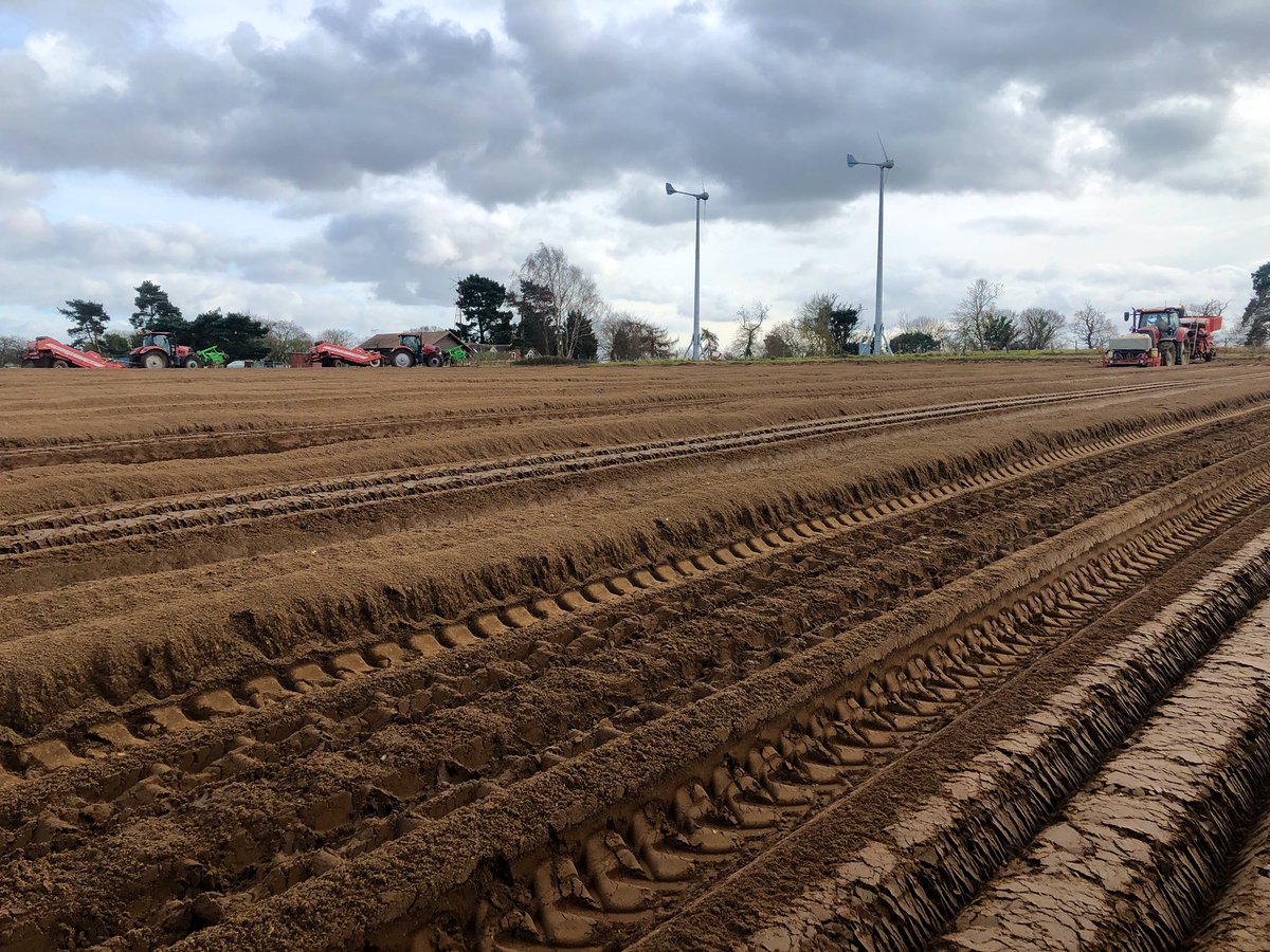 We are finally busy planting salad potatoes after a frustrating few weeks! Hopefully we miss the rain forecast tonight 🤞🥔 <a href="/Eastsufprod/">East Suffolk Produce</a>