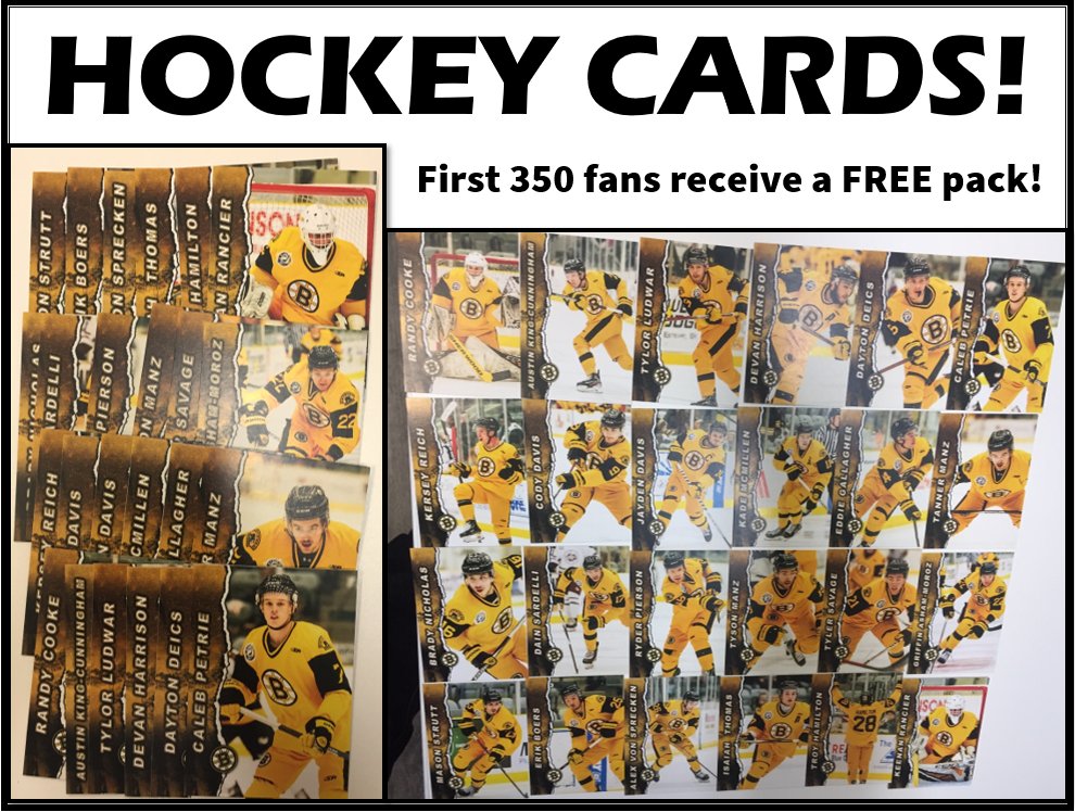 Eagle Sky Estevan Bruins tweet media