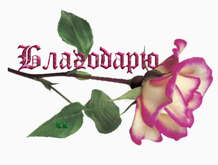 Стикер спасибо для ватсапа. Стикер спасибо. Благодарю картинки. Стикеры спасибо благодарю. Стикер спасибочки.