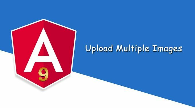 Wordpress Plugins tweet media