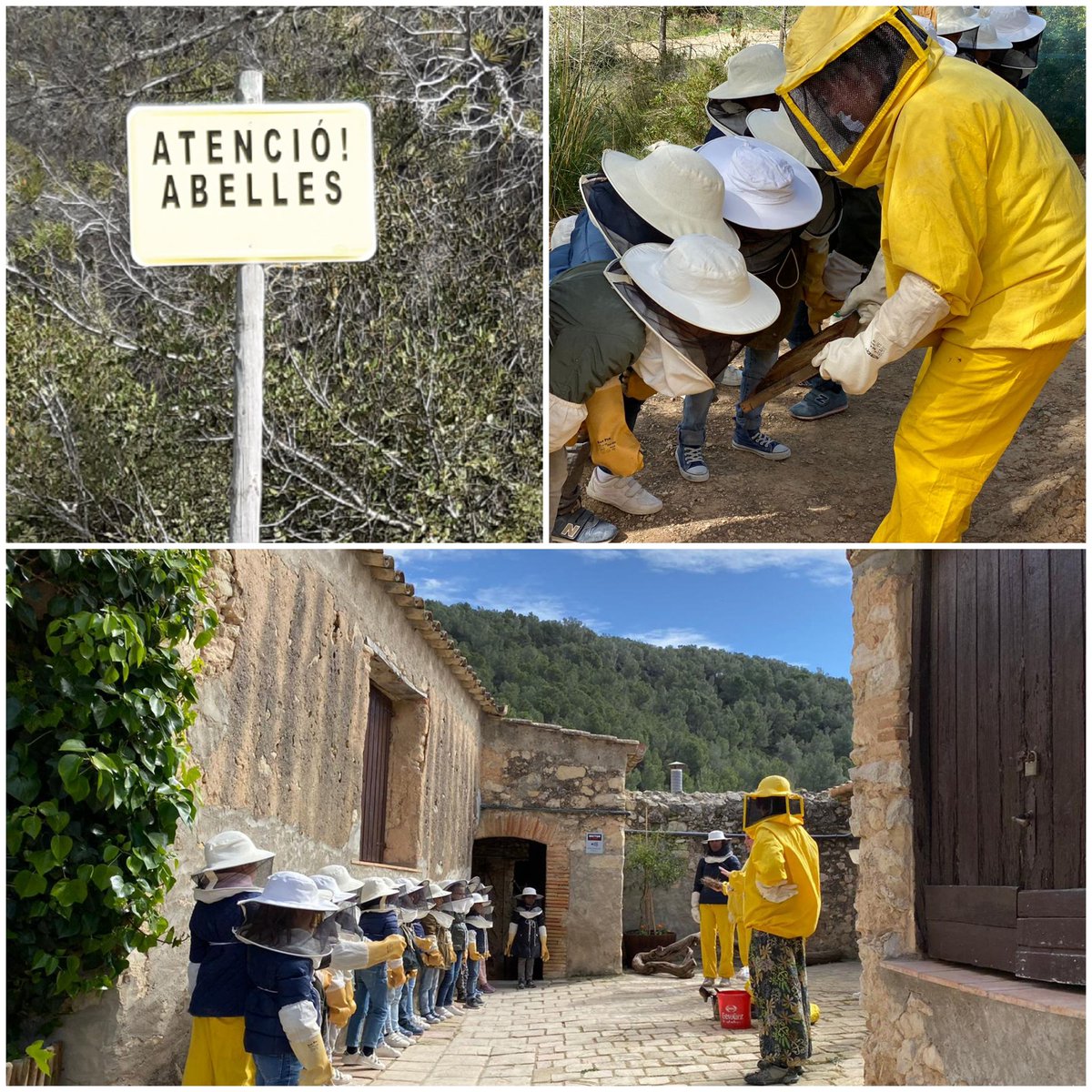 mar_caste's tweet photo. Avui els alumnes de primer de @FET_Ganduxer hem anat d'excursió a veure la feina dels apicultors i hem seguit aprenent molt sobre un altre tipus d'abelles; les de la mel! Impressionant!!  #beeascientist #essersvius #naturaenestatpur https://t.co/d1rwSCpUiT