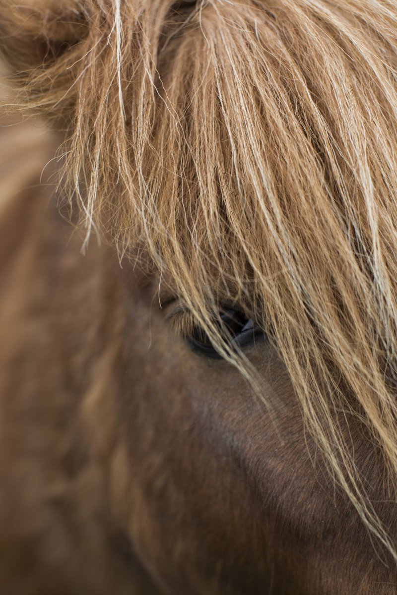 Shetland: a love letter tobyskinner.net/2020/03/09/she…
