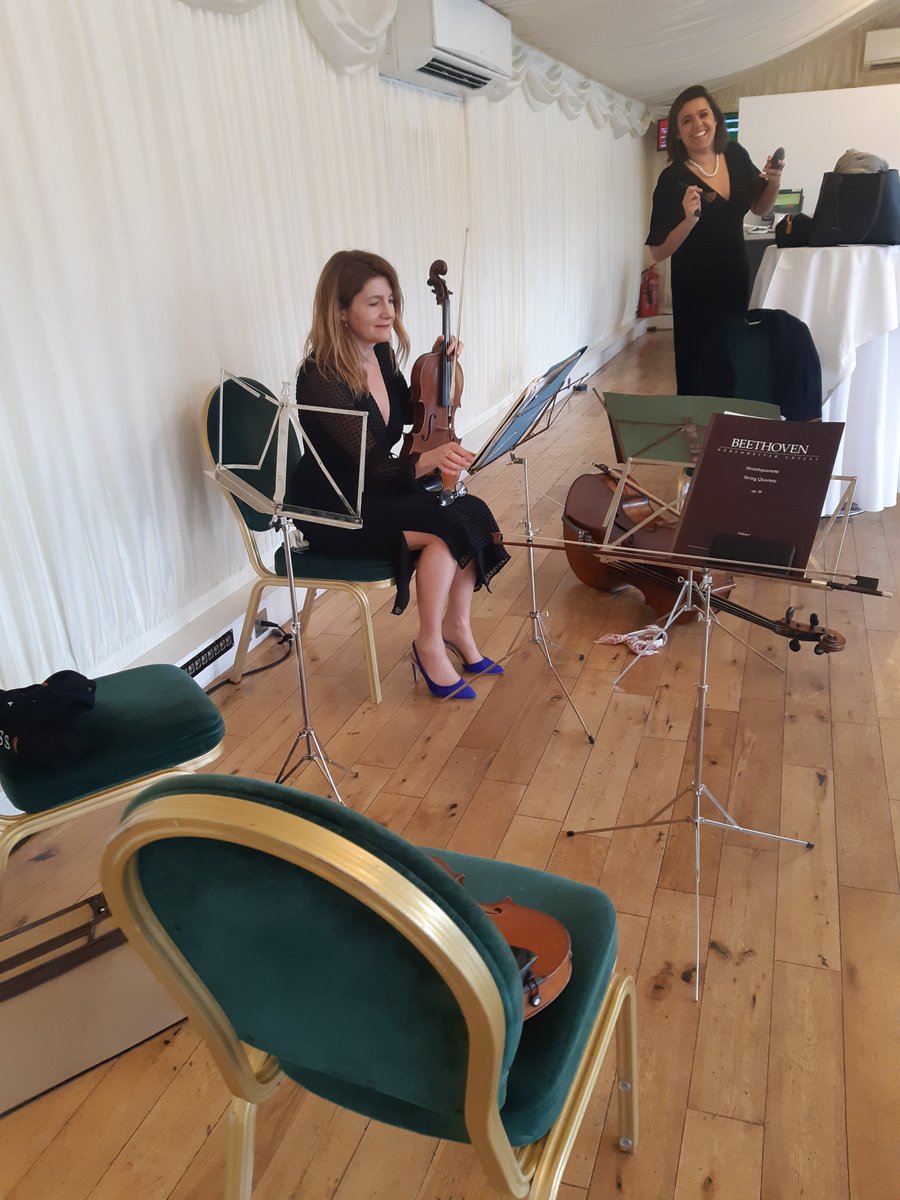 The Statutory Instruments - Parl'y String Quartet tweet media