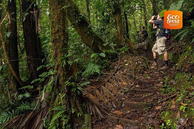 Ecoterra_Exp's tweet photo. During the trekking in the Juan Castro Blanco National Park you will have the opportunity to take a 2-hour tour for a 3 kilometer trail inside the cloud forest. 🌳

For more information visit our website: https://t.co/DABD5LwaSC ••• Durante el trekking en el Parque Nacional … https://t.co/wbI8vmUGzI