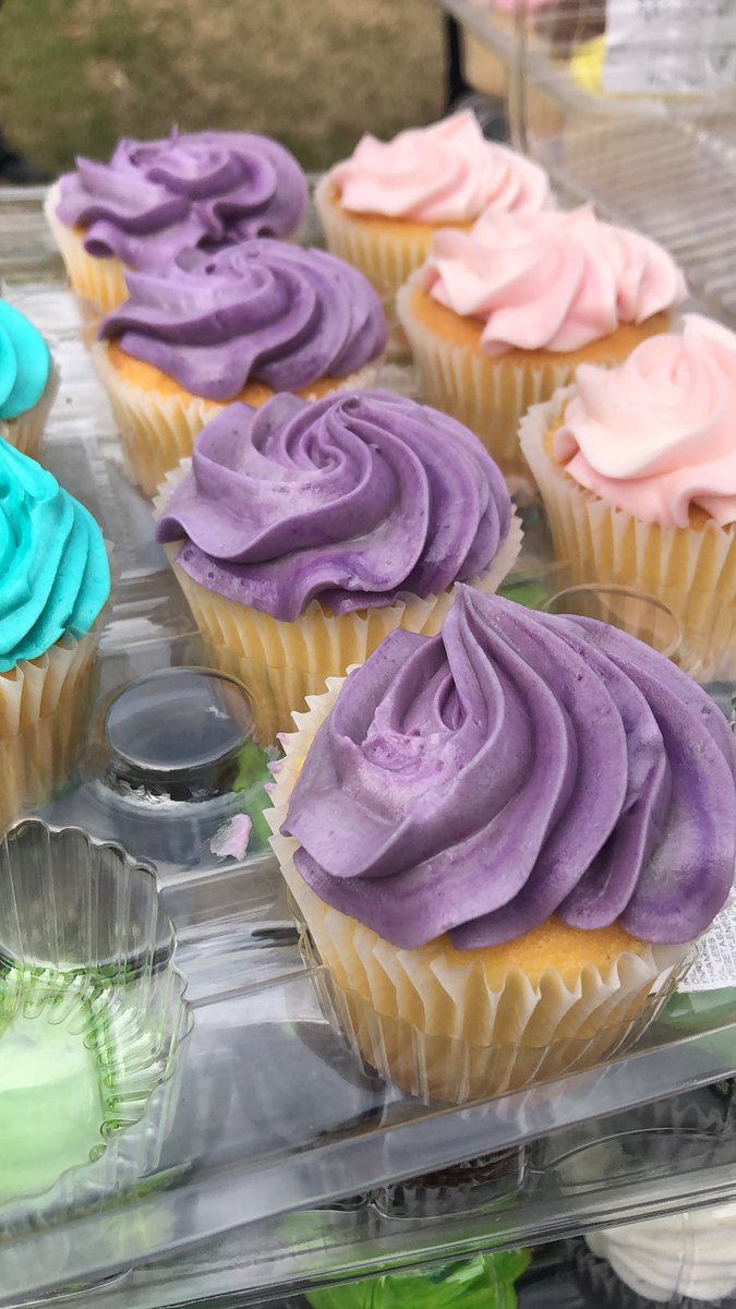 Pups &amp; Cups NOW ✨✨✨ FREE cupcakes for everyone! Come CS on the quad 🤩