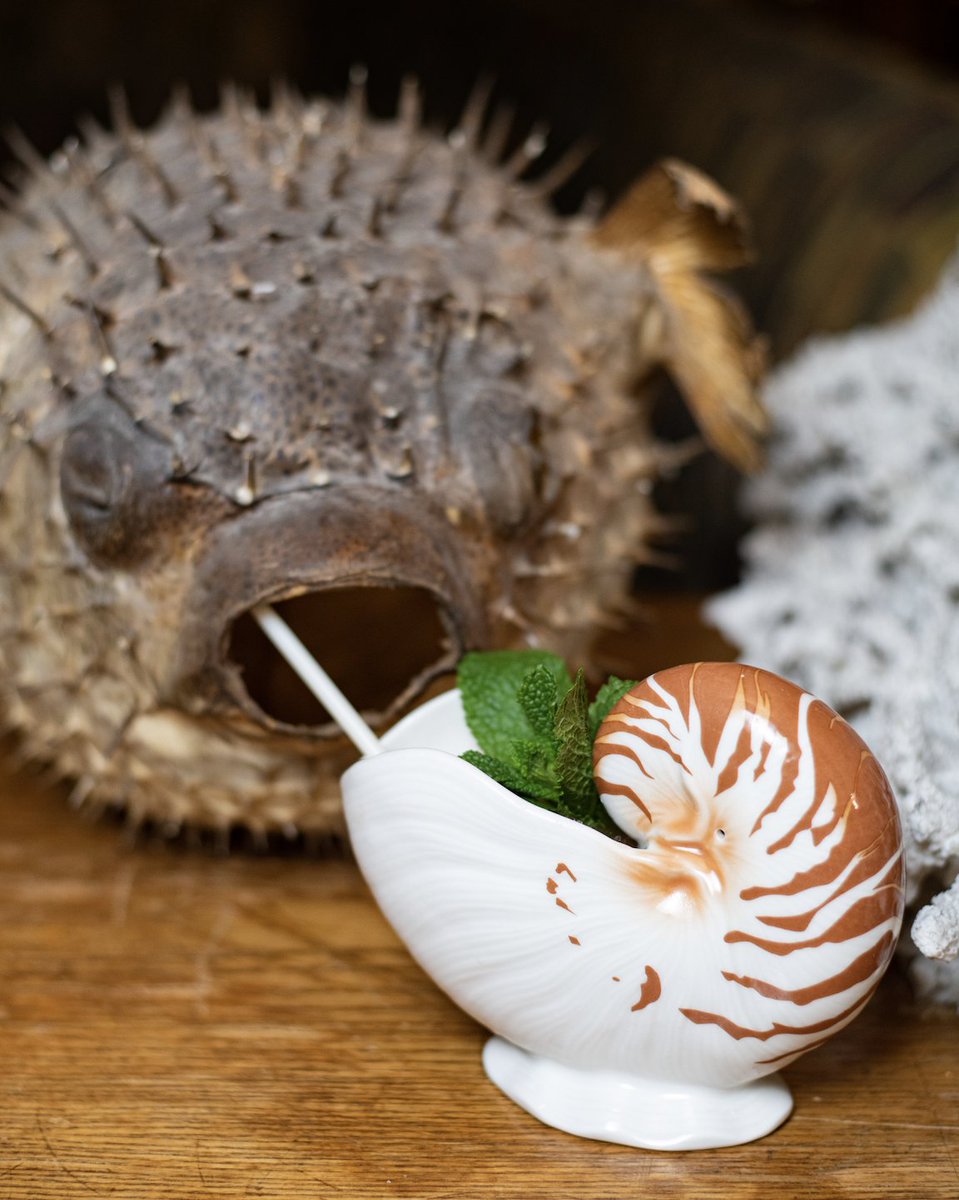 Starting the week with our Mug Mondays will sure to put you in a better mood! Bring down your own Trader Vic's mug, or buy one when you're here, to get 50% off cocktails between 5 and 10pm! Now that’s winning 🍹