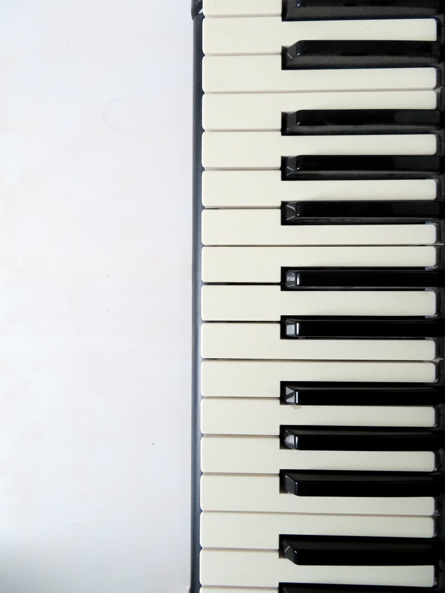 PaulEffmanMusic's tweet photo. We are excited to announce we are now offering affordable monthly rental options for keyboards, digital pianos, guitars, and select intermediate and professional level band and string instruments. Visit us in store or call us at (877) 884-9766 for more information. https://t.co/gJP26Pbw0Z