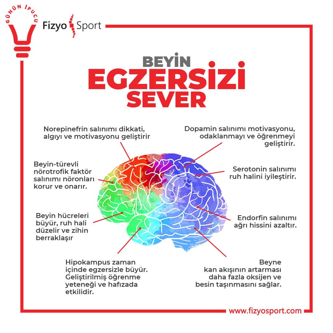 FizyoSport's tweet photo. Egzersiz yapmak beyinimizdeki kimyasal yapının önemli birer parçası olan Norepinefrin, BTNF, Serotonin, Endorfin ve Dopamin salınımları üzerinde etkilidir. https://t.co/QzIVjcriLx