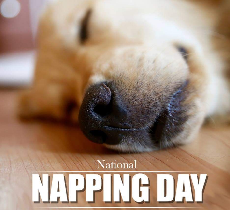 CommunityCCU's tweet photo. #NationalNappingDay https://t.co/Lhn6VLIG9d