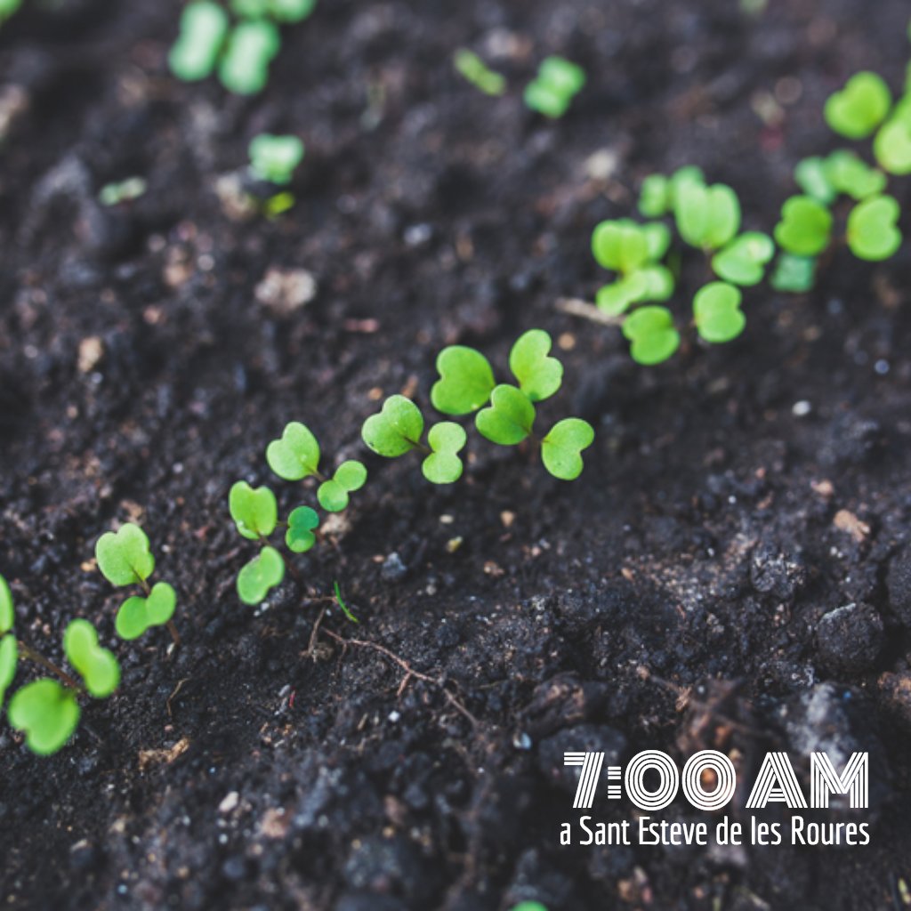 Bon dimarts rourencs. Són les set!