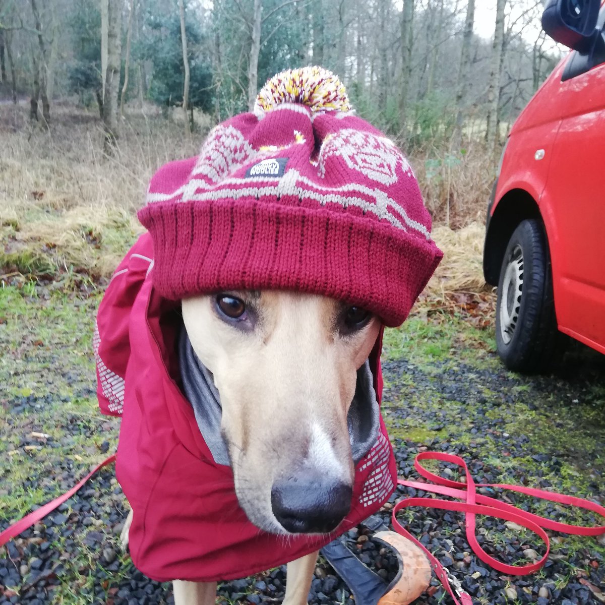RideScotBorders's tweet photo. @whiteheather63 We like hats here too, this is a cheeky wee @wonkywoolies number 😉 https://t.co/GKL5MARw85