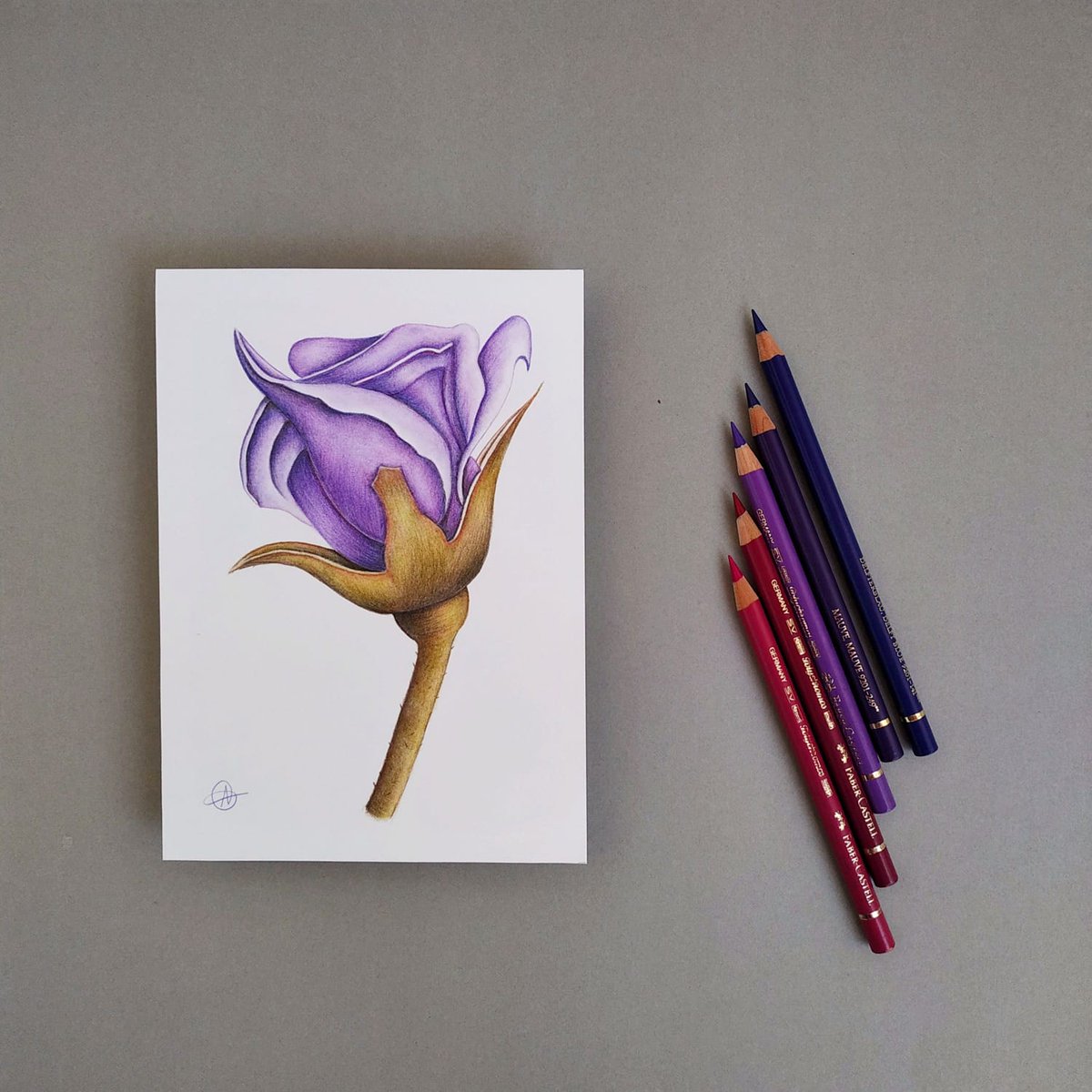 papelyaguja's tweet photo. Creemos que no hay mejor manera de empezar esta semana que con una de las favoritas en nuestros #marcapáginas: la #rosa morada💜Esta vez la hemos preparado en un formato más grande: 13x18 cm.
#hechoamano #handmade #dibujo #dibujosalapiz #papeleria #paperstore #fabercastell https://t.co/547jorWvxS