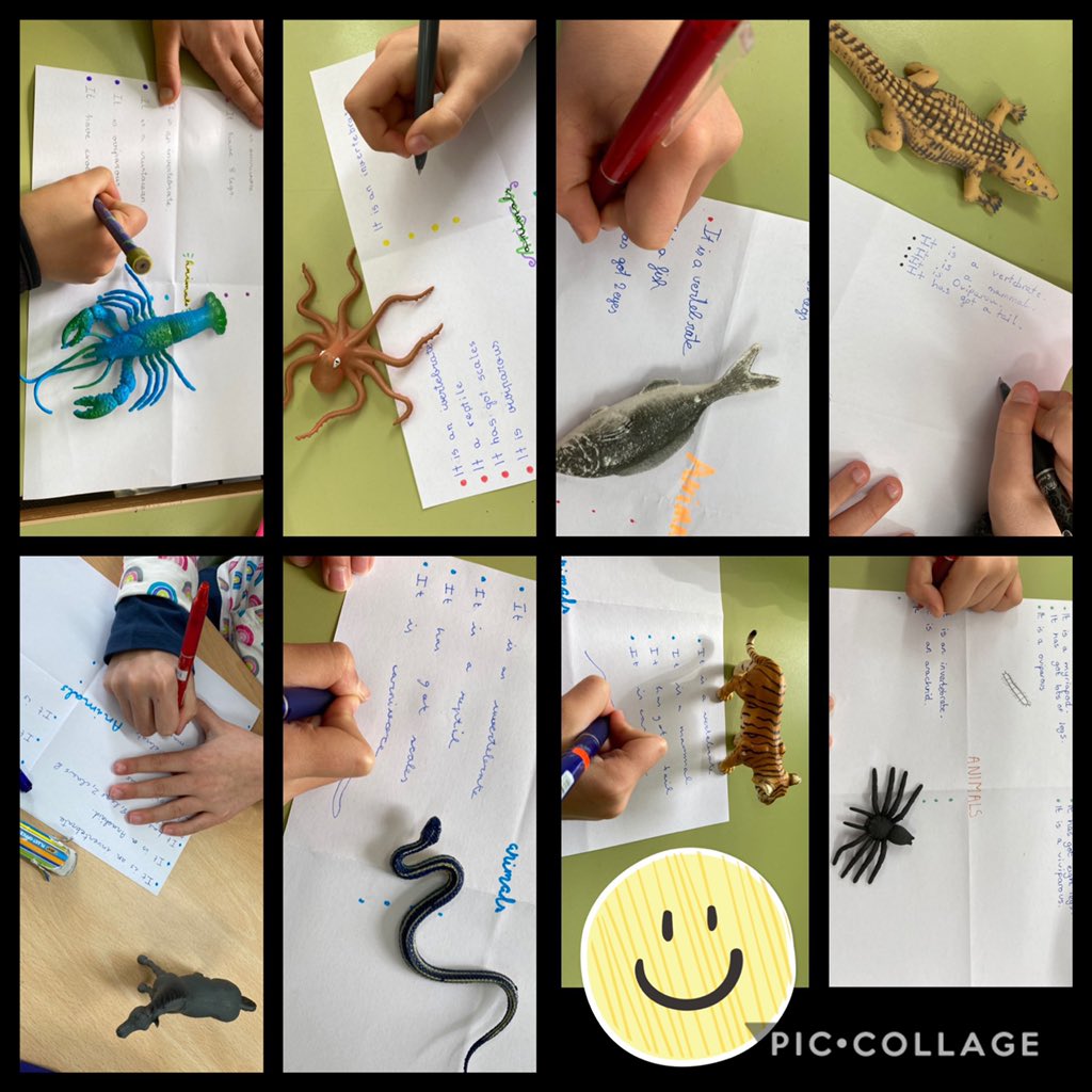 EliCatalan2's tweet photo. When your little boy loves animals😍 🐐🦜🐈🦨🐇🐇🦩🦔🐊🐟🦑🐙🐍🐢🦋🐌🦉
and you’re teaching animals in #Science!🤩

#classifyingAnimals #describingAnimals #HandsOnScience #LearningWhilePlaying #ILoveTeaching https://t.co/dTWp53jzY2