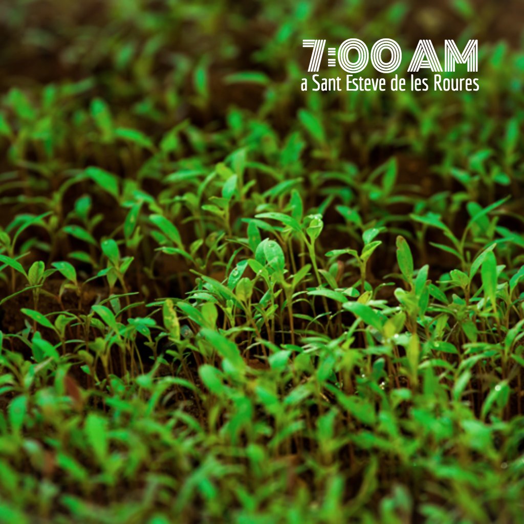 Bon dijous rourencs. Són les set!