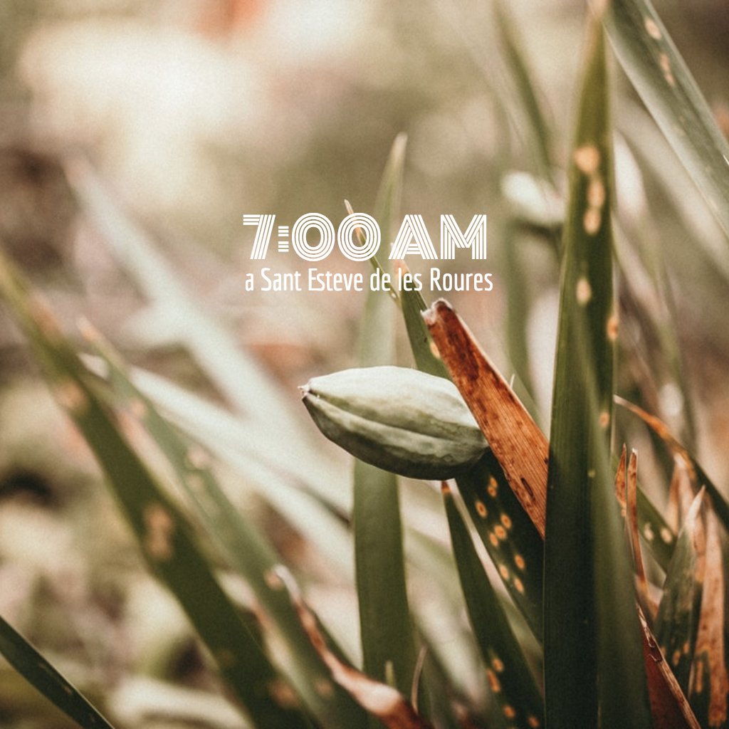 Bon divendres rourencs. Són les set!