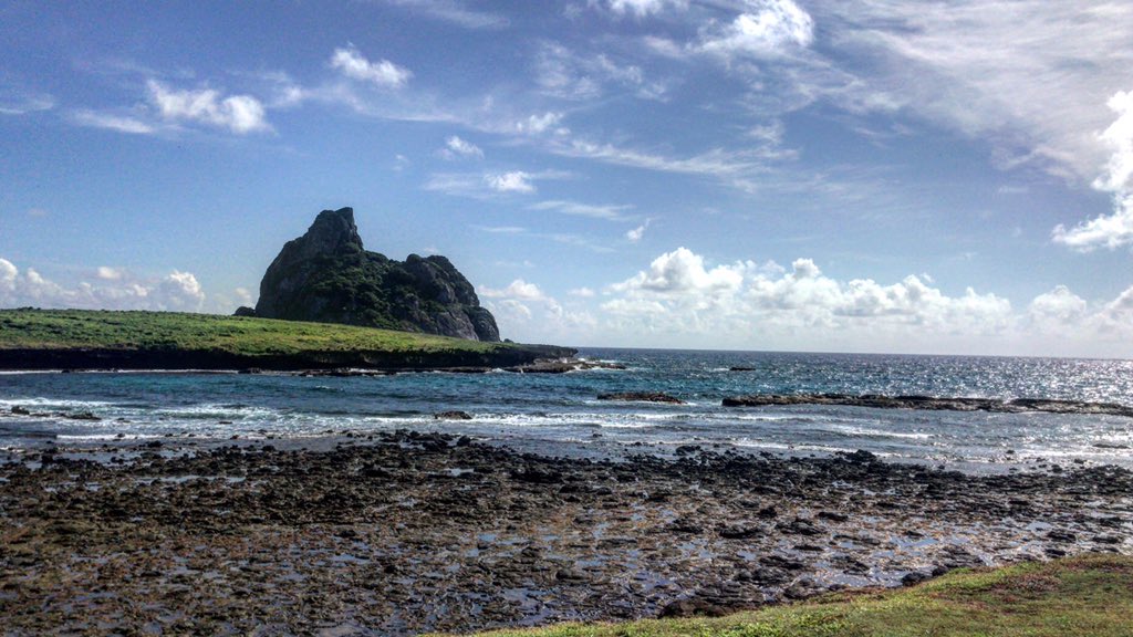 noronhadiego (@diegorabelo85) on Twitter photo 