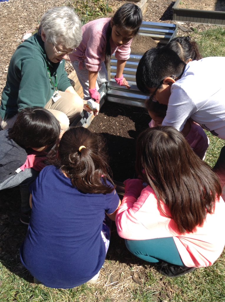 suglibrary (@suglibrary) on Twitter photo Beautiful day to plant carrots in our school garden with Ms. Diane, the Master Gardner! <a href="/SugarlandES/">Sugarland Elementary</a> <a href="/SUG_STEAM/">Sugarland STEAM</a> <a href="/Dr_Mihalik/">Dr. Gregory Mihalik</a> @gailbrady508 Beautiful day to plant carrots in our school garden with Ms. Diane, the Master Gardner! <a href="/SugarlandES/">Sugarland Elementary</a> <a href="/SUG_STEAM/">Sugarland STEAM</a> <a href="/Dr_Mihalik/">Dr. Gregory Mihalik</a> @gailbrady508