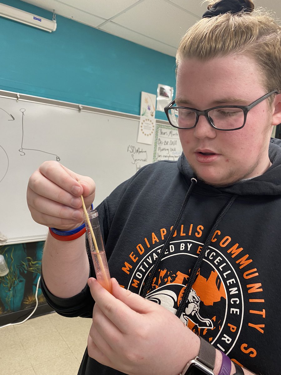 stacey_rector's tweet photo. Biology investigating DNA structure; human model, DNA extraction, constructing a mini model of DNA. It’s all about the base!!#mepoclassroom https://t.co/uXFOIrzexV